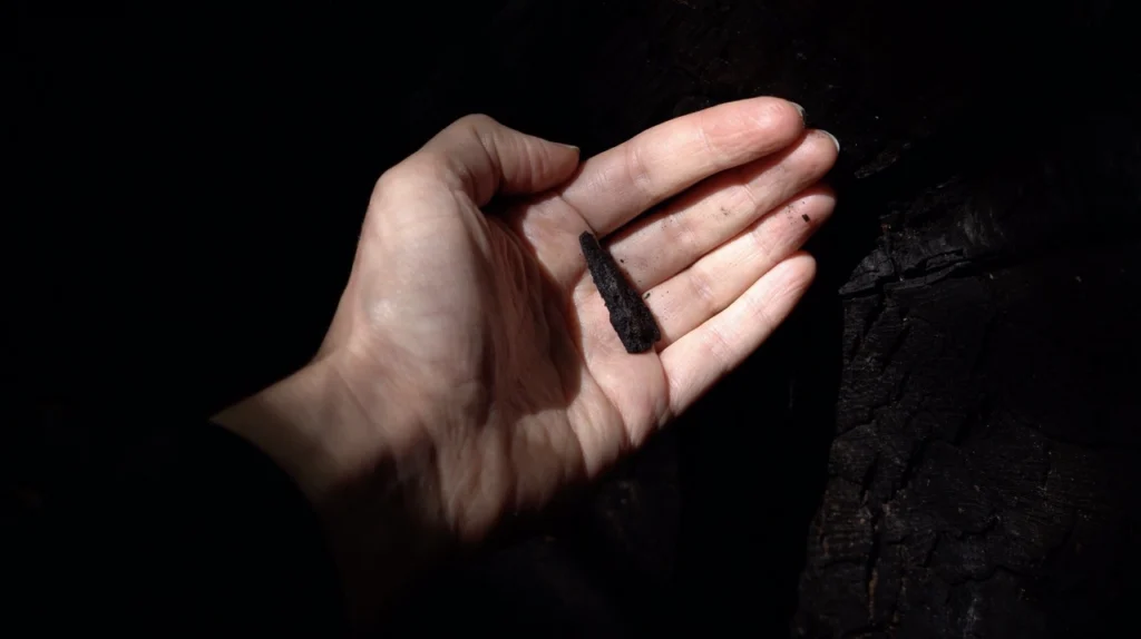 Asef Burckhardt SHELTER-BONE. Hand with coal
(To Anna and Lawrence Halprin
at The Sea Ranch)
video, 27’39”, 4K, stereo, color, 2024 Art Vilnius 2025