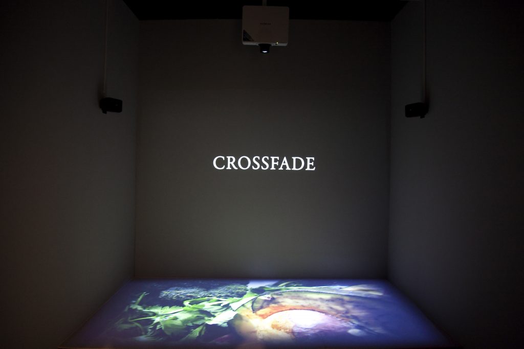 Mario Asef at Daegu Photo Biennale in Korea showing Crossfades