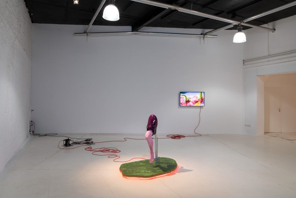 View of video and installation by Malte Bruns at wildpalms Düsseldorf