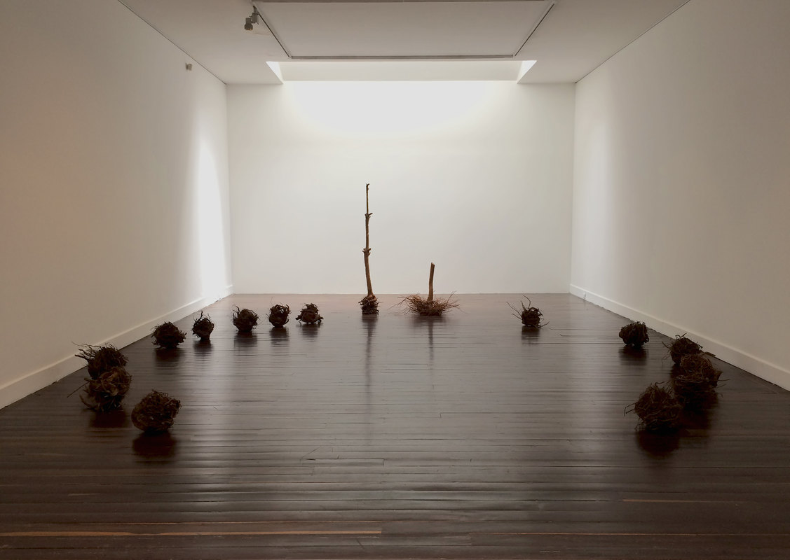 Beatriz Eugenia Diaz exhibición en la galería de casa Riegner en Bogotá, con las raíces de árboles