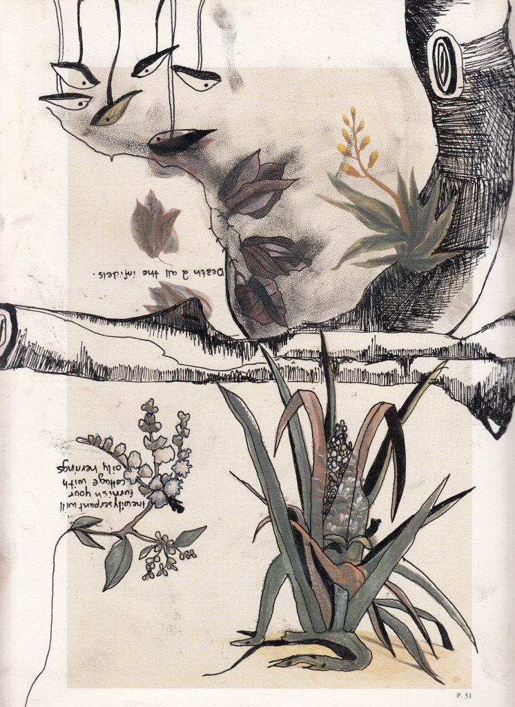 Rachel libeskind drawings wildpalms