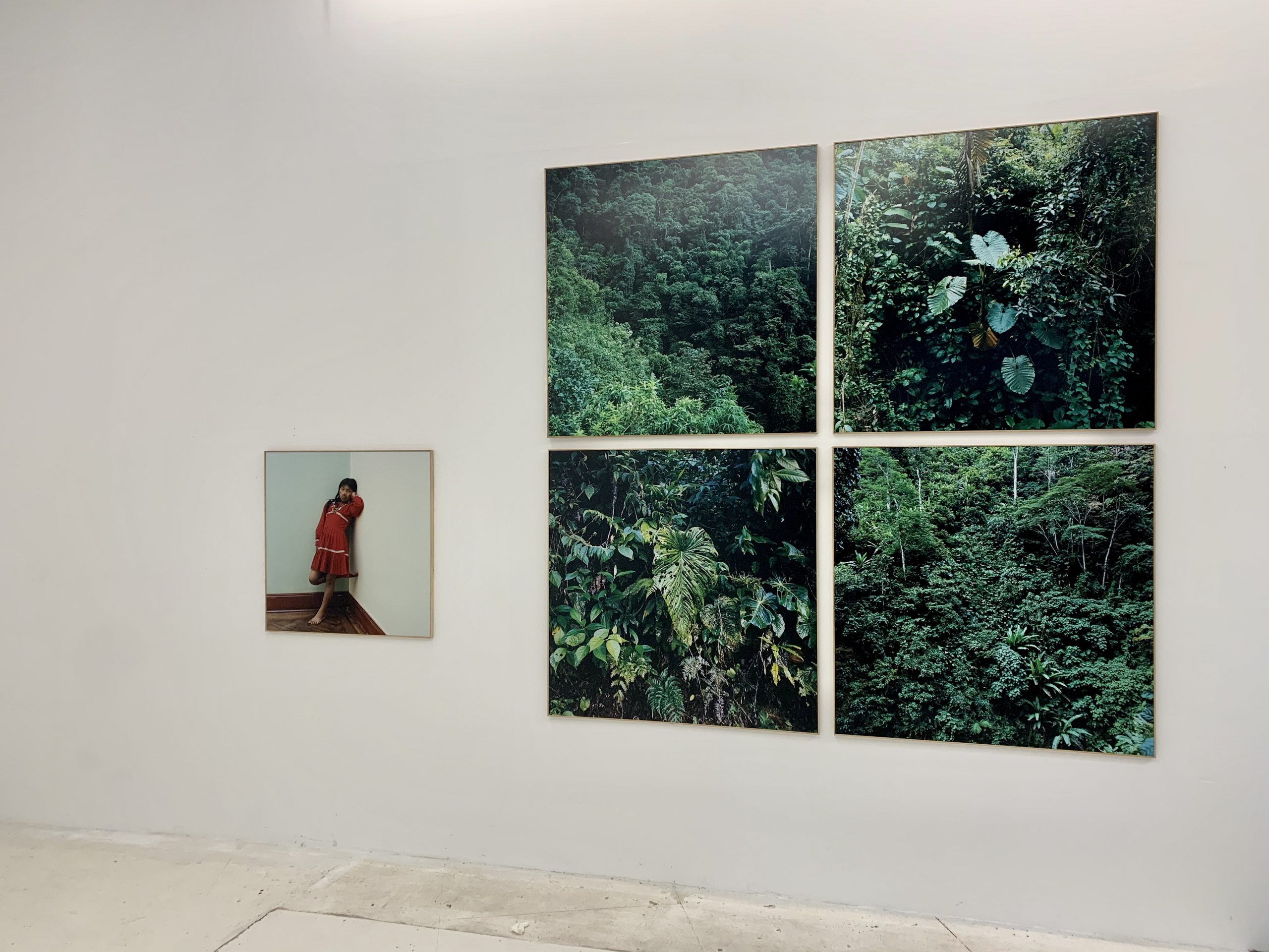 Te de Bogota, curated show by Jorge Sanguino with photographs by Karen Paulina Biswell