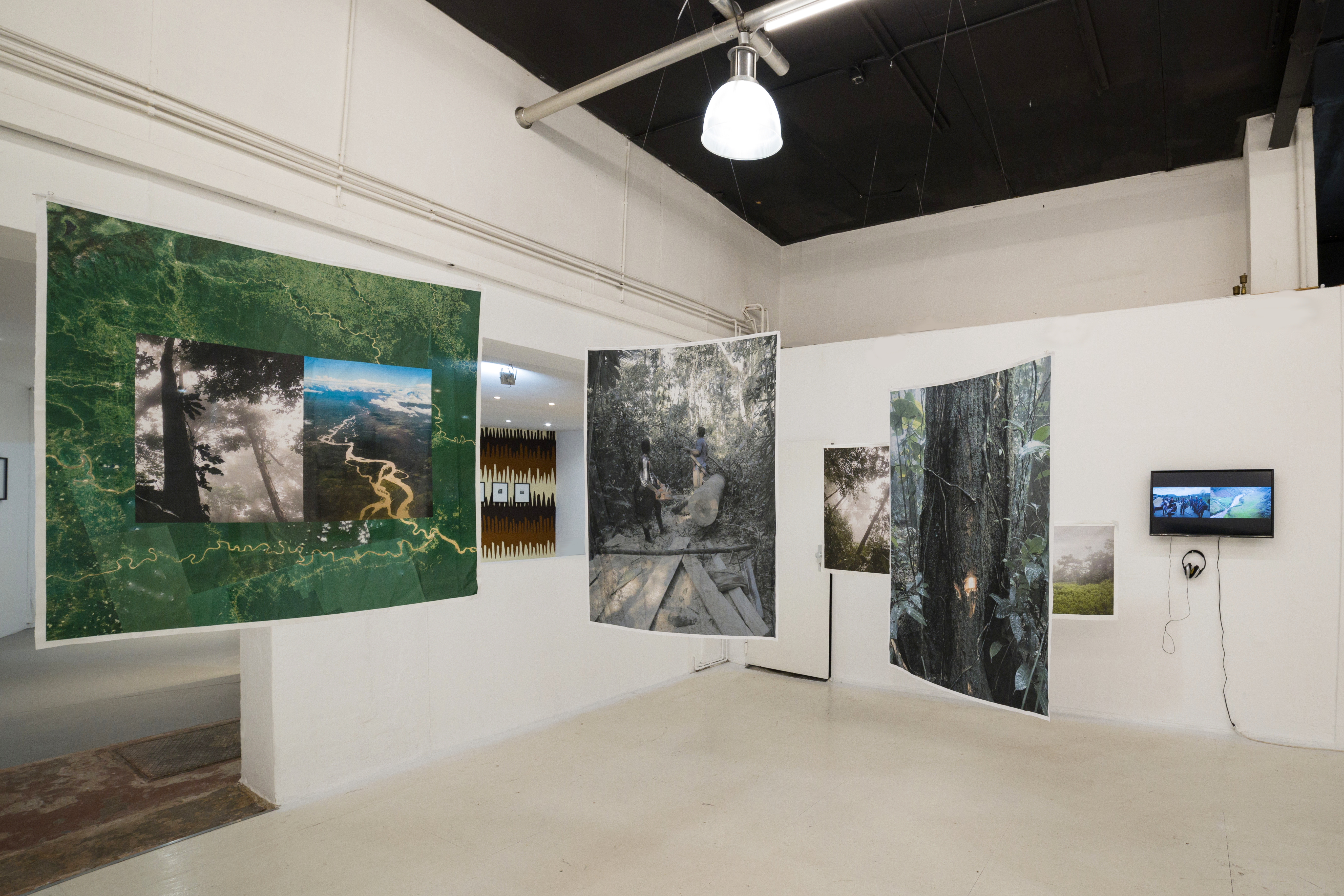 Exhibition Te de Bogota curated by Jorge Sanguino with Felipe Castelblanco his work Landscapes
