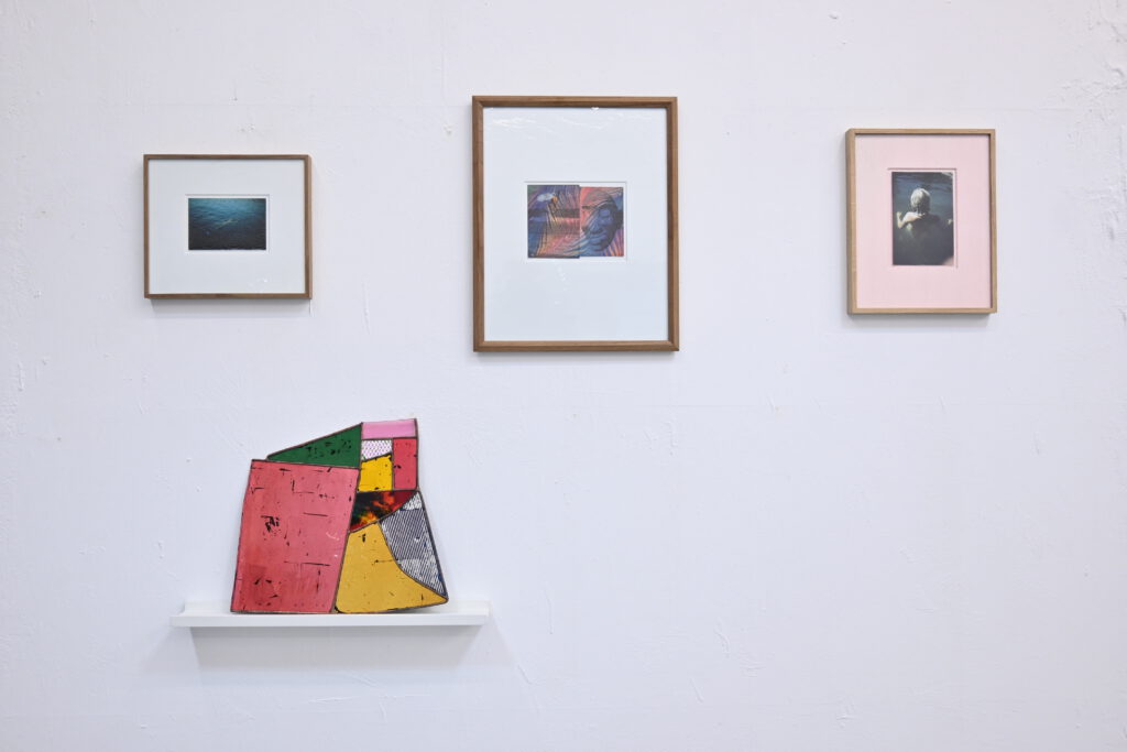 Paul Hance mouth-blown glass, photography, wildpalms Düsseldorf exhibition