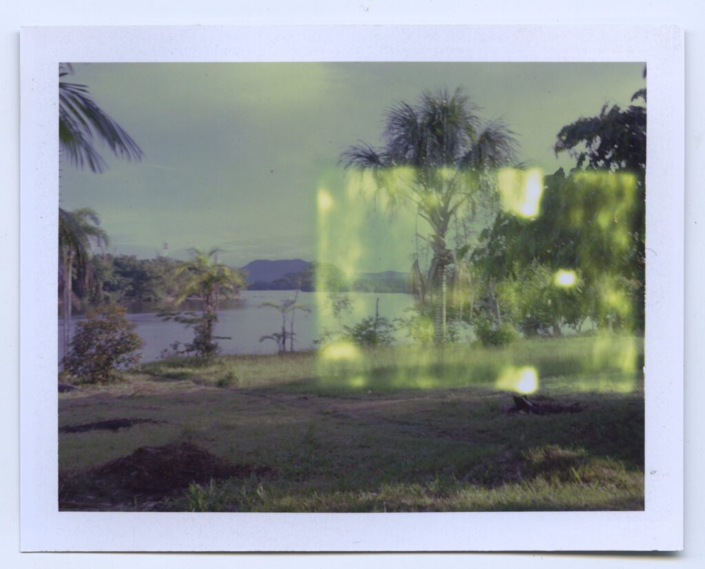 Karen Paulina Biswell Carayuru Colombian Amazon Polaroid analog photography wildpalms