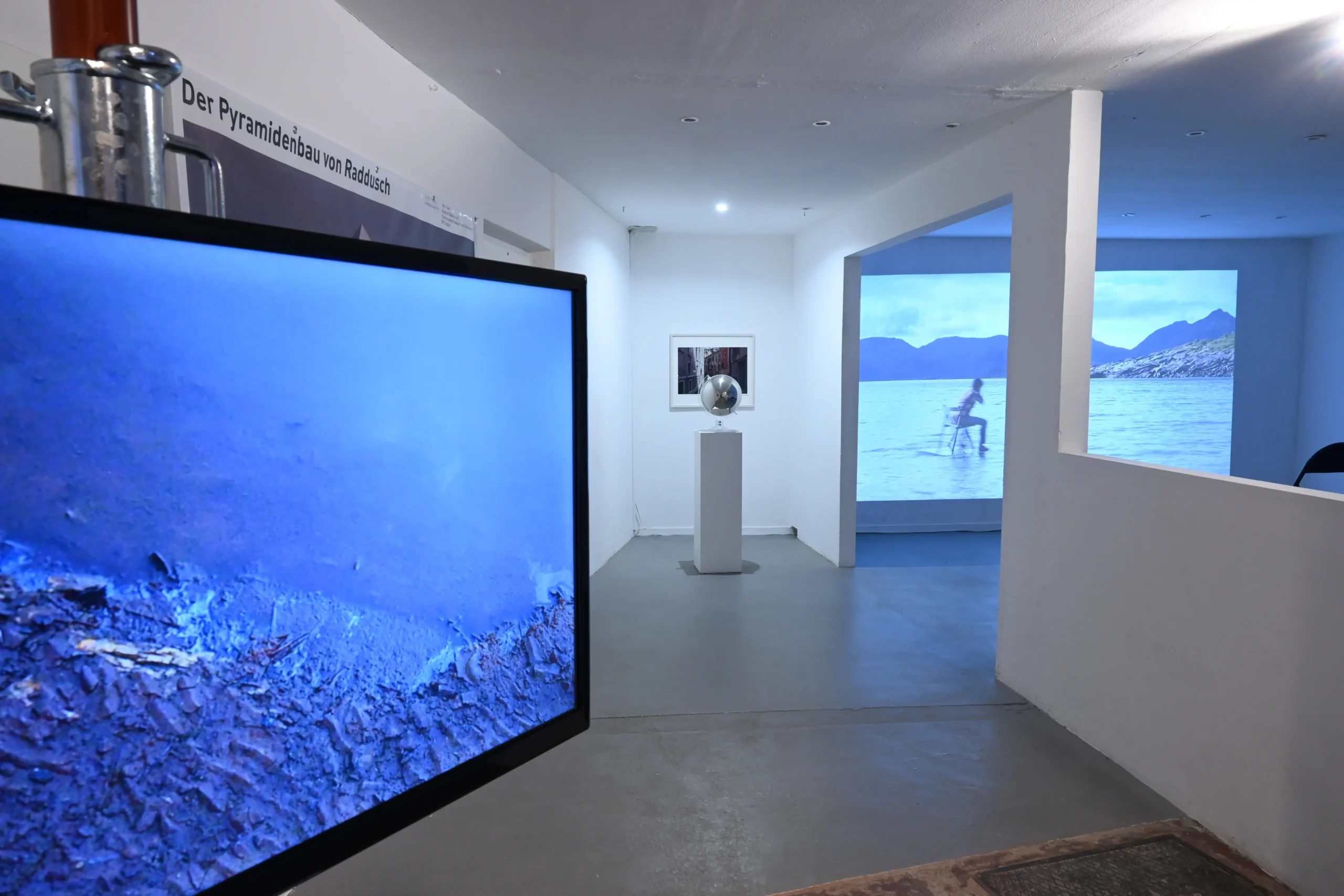 Mario Asef and Felipe Castelblanco exhibitions view wildpalms water 