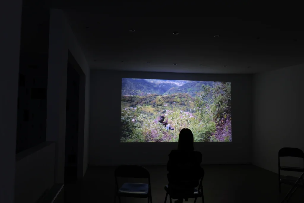 Documentary Werapara by Claudia Fischer about Indigenous transgender artists. Millones de Maneras, Liliana Sanguino and Laura Laurens, exhibited by Alexandra Meffert and Jorge Sanguino in wildpalms Düsseldorf. Images of the stich works