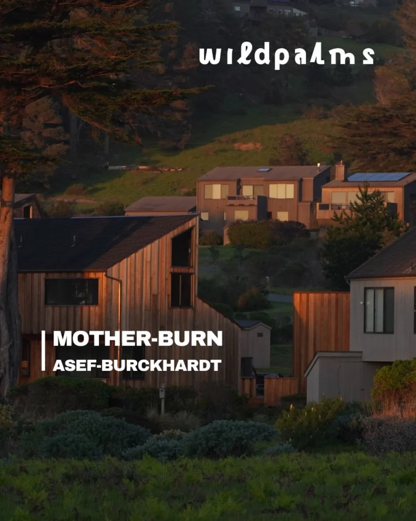 Asef/Burckhardt exhibition in wildpalms