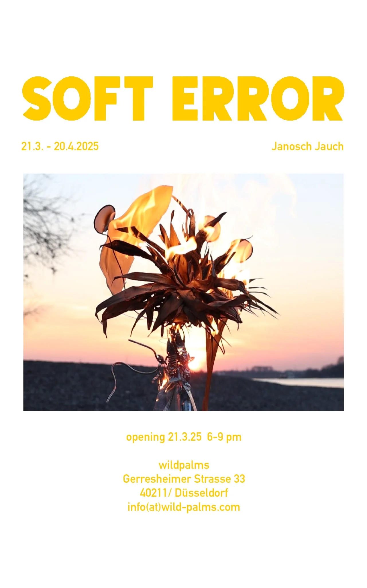 Soft Error exhibition flyer featuring Janosch Jauch at wildpalms