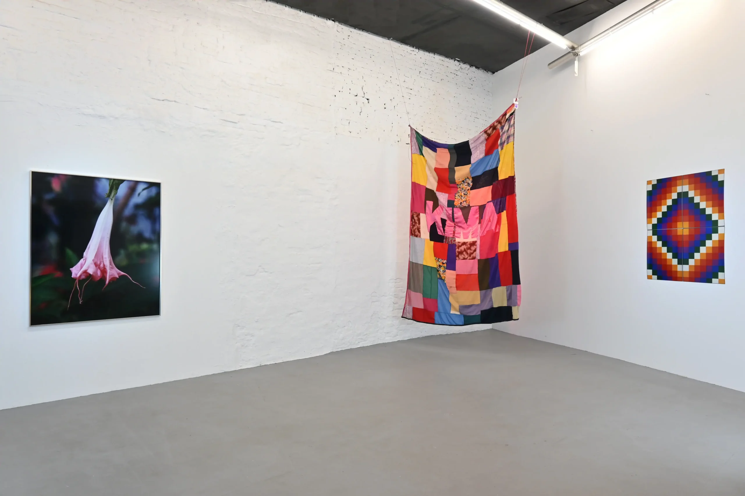 KIMA exhibition view with an Iguaka flower photograph, suspended patchwork textile, and geometric artwork