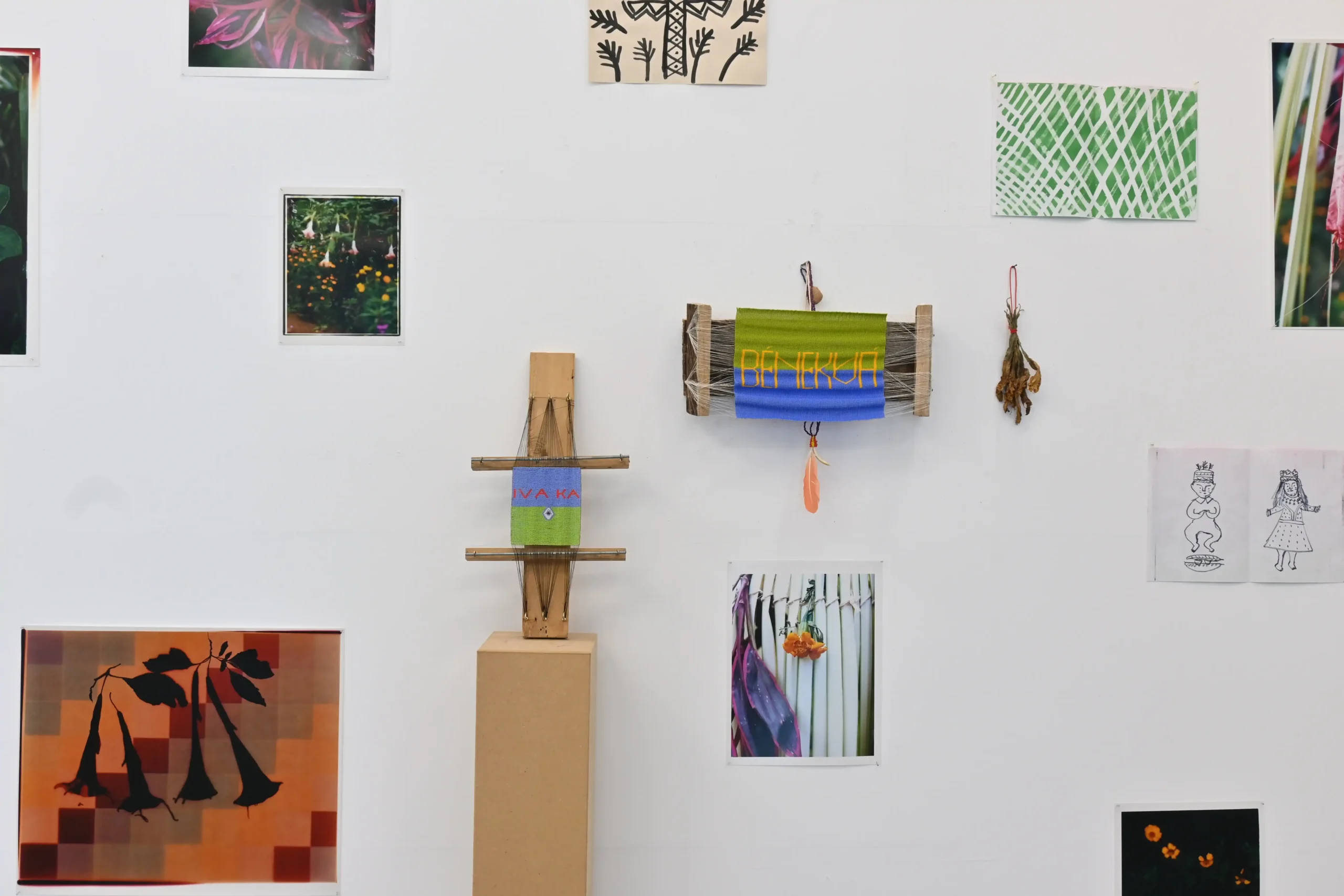 Detail of the KIMA exhibition wall with photographs, drawings, woven works, dried plants, and floral imagery