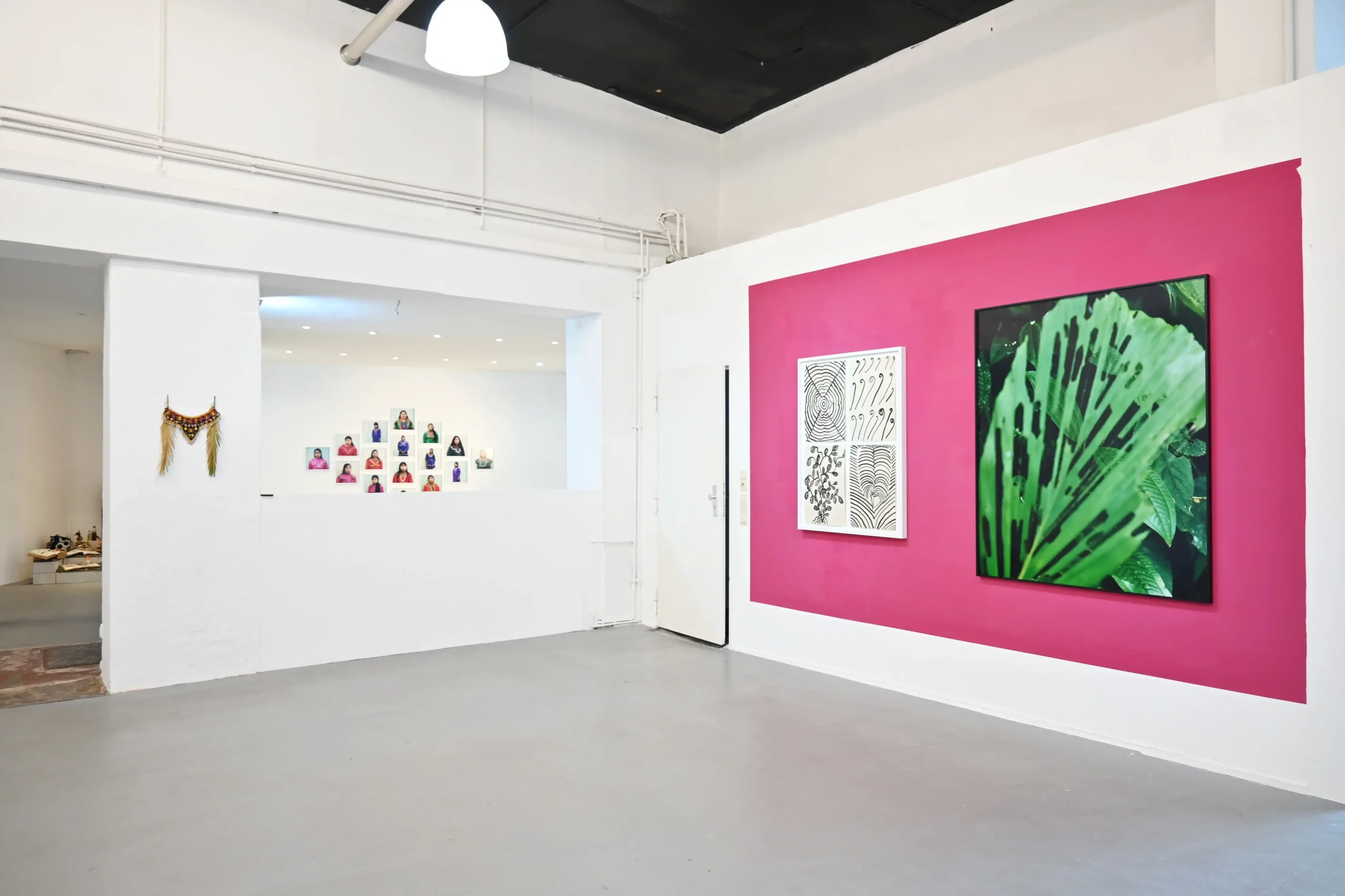 KIMA exhibition view with green leaf photography on a magenta wall and portrait works in the adjoining room
