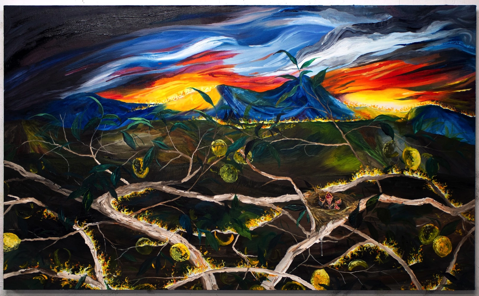 Morgan Mandalay’s Bird Born of Paradise, a volcanic landscape with branches and fruit
