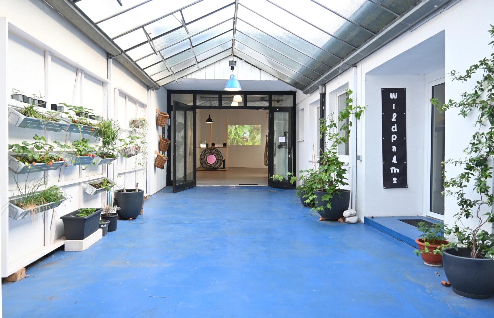 Entrance view of the Magical Operations exhibition at wildpalms Düsseldorf