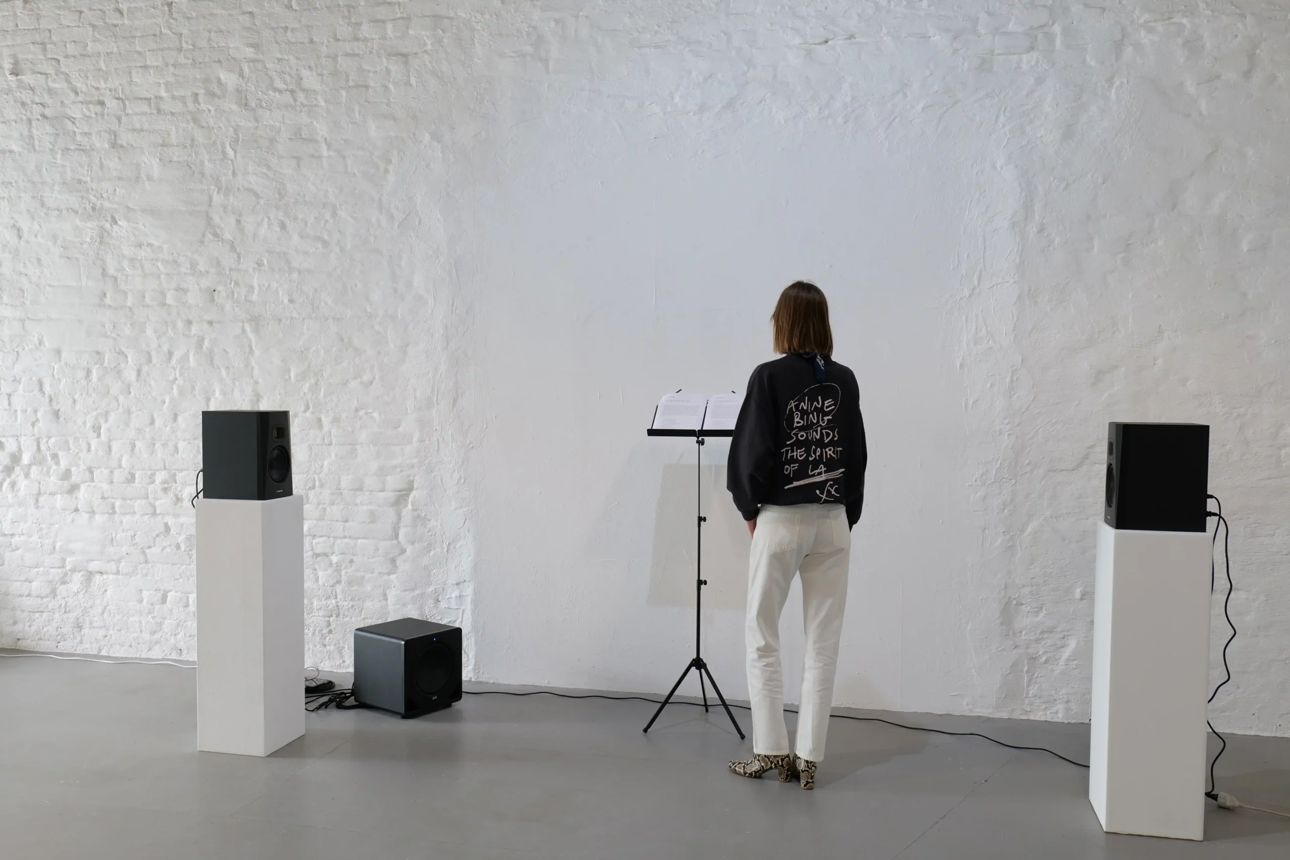 Postcommodity sound installation in the Wild Palms gallery