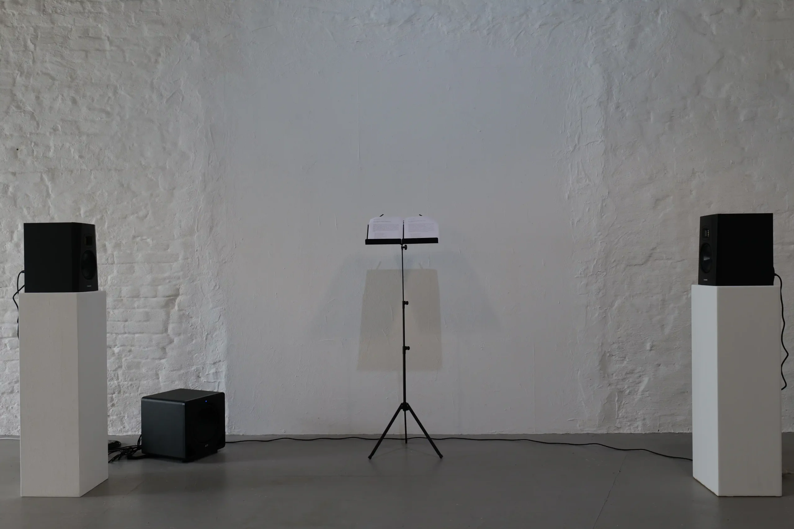 Speaker and sound installation by Postcommodity at Wild Palms