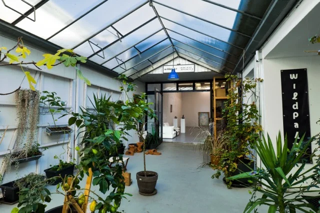 Plant-filled atrium entrance to wildpalms art gallery in Düsseldorf