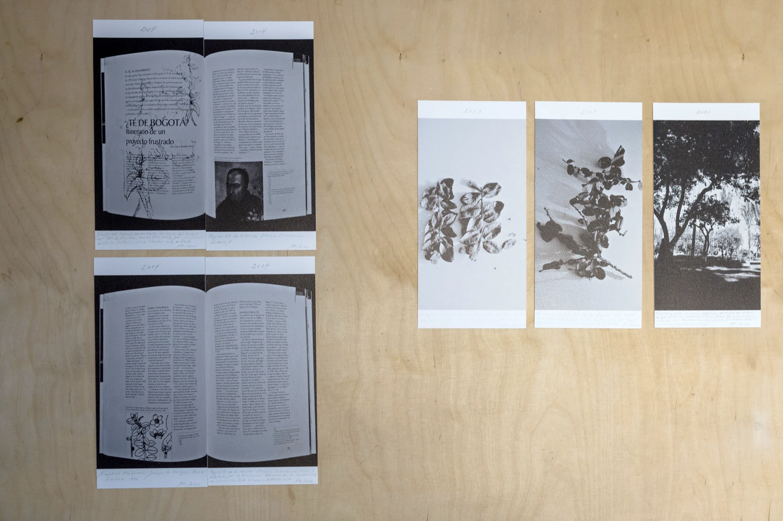 Beatriz Eugenia Diaz, installation with sound and 7 photographs, Te de Bogota, curated by Jorge Sanguino