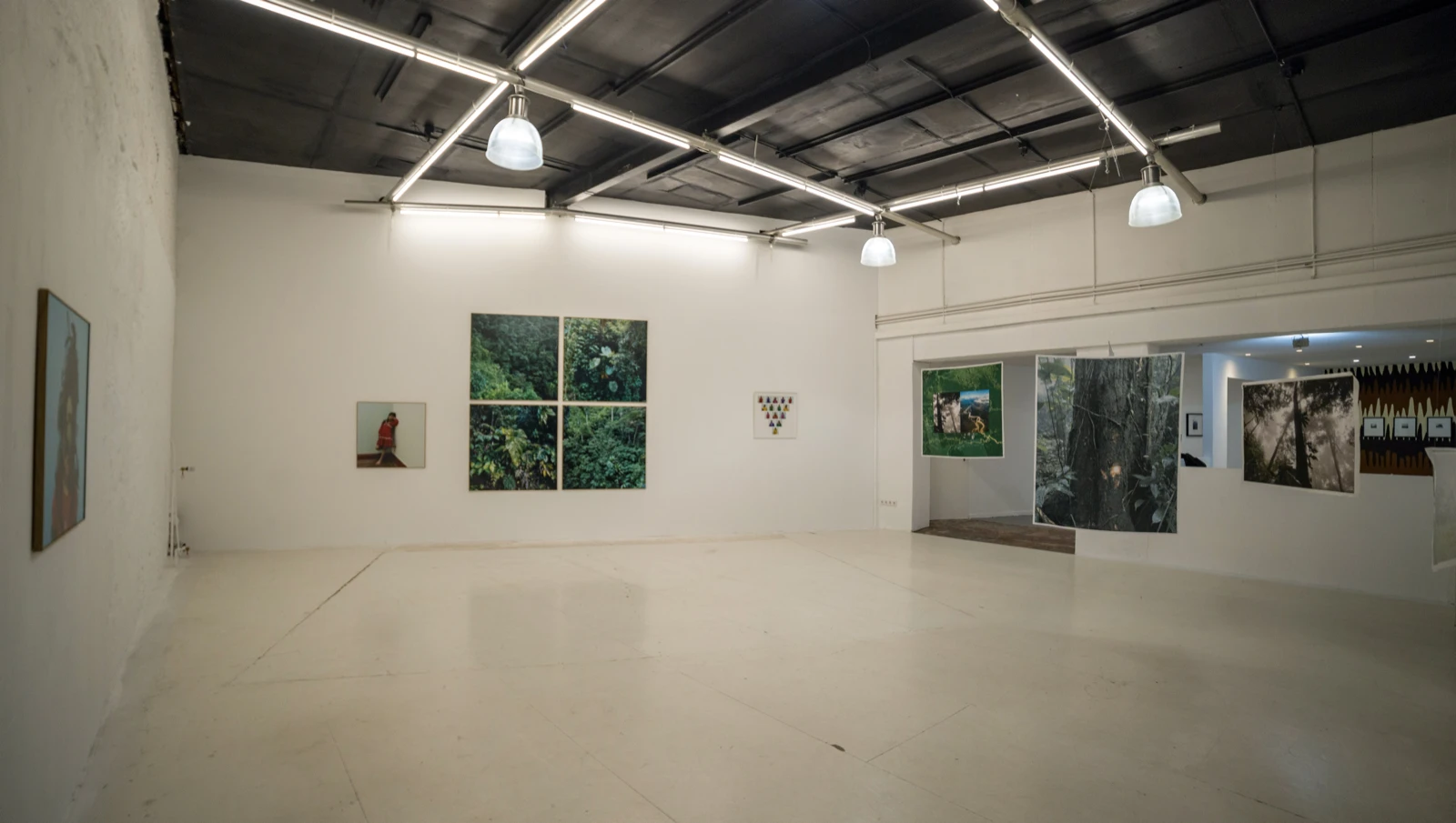 Exhibition view of Te de Bogota, curated by Jorge Sanguino, wildpalms
