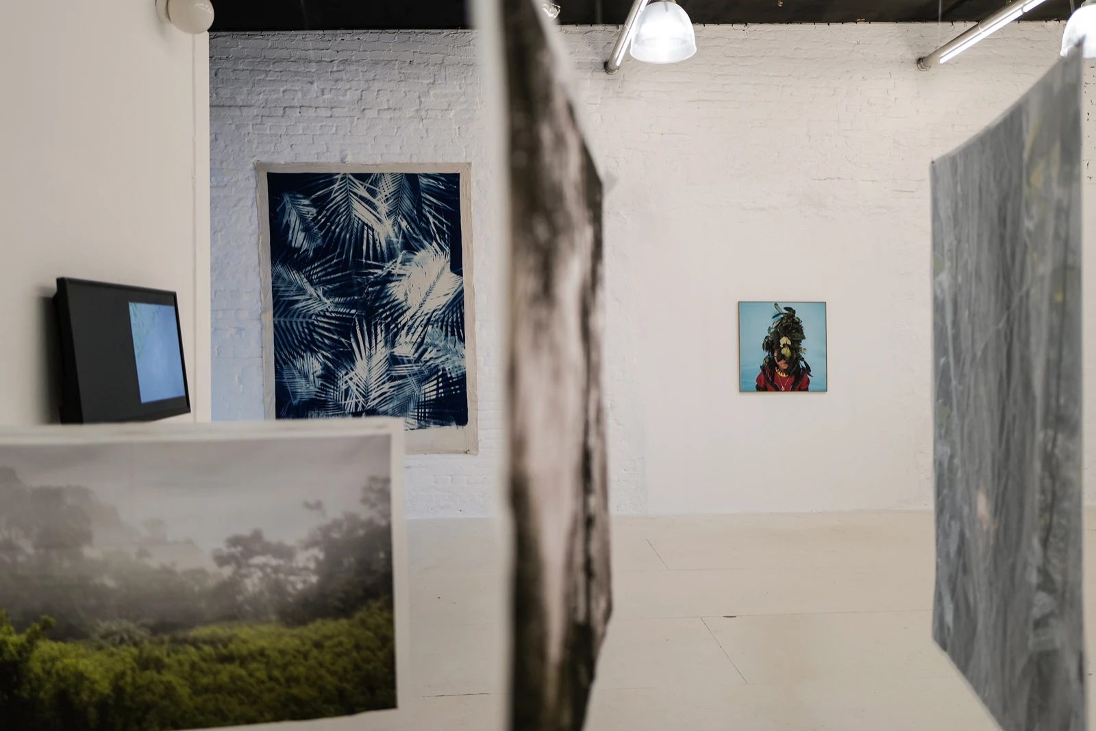 Exhibition view of Te de Bogota, curated by Jorge Sanguino, wildpalms