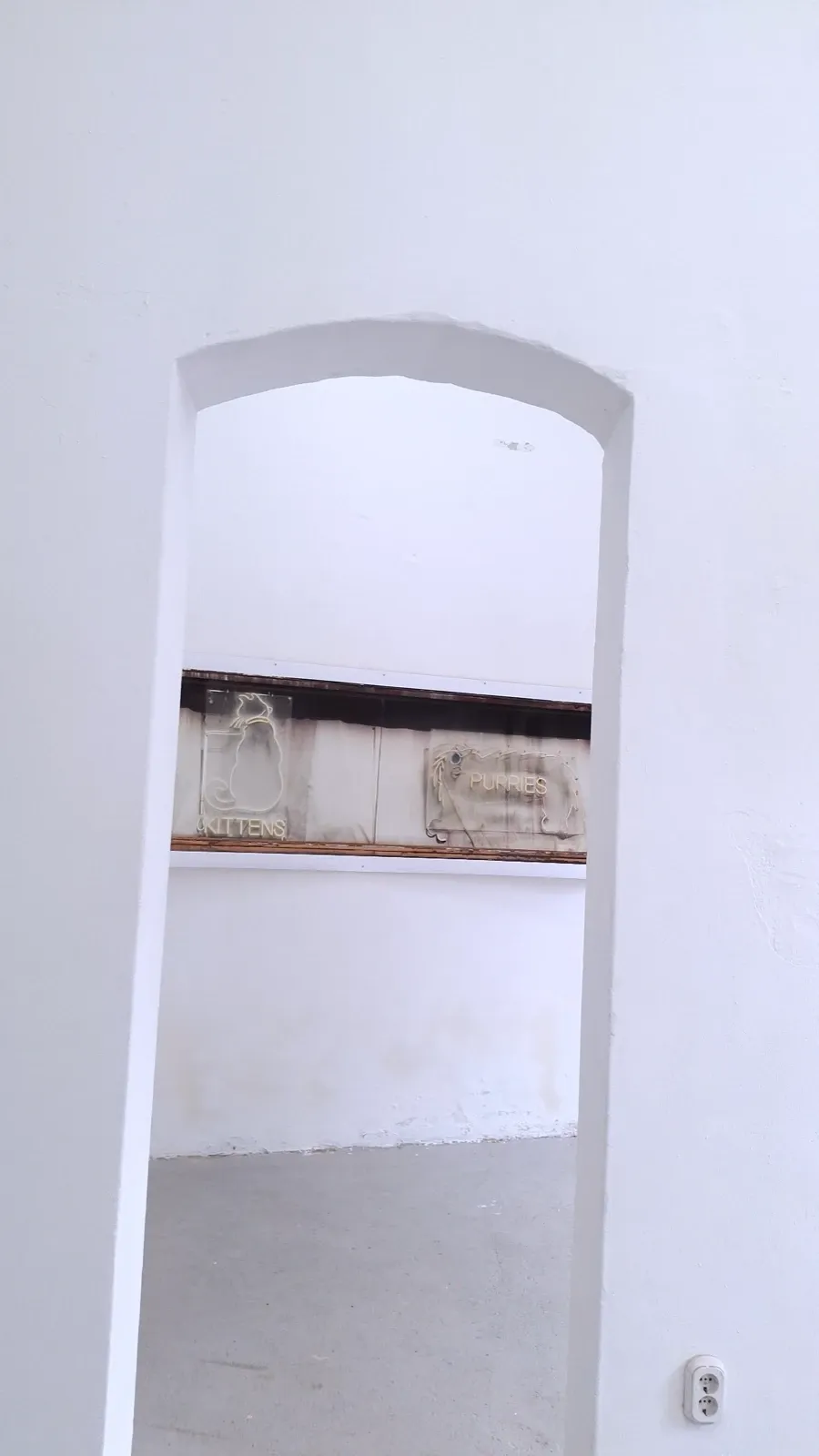 Charles Cohen, etched glass panel reading Kittens and Puppies. Installation view from Practices of Moving, curated by Alexandra Meffert and Jorge Sanguino.