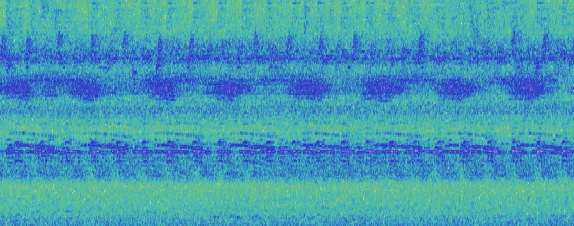 Sound spectrogram visualization from Beatriz Eugenia Diaz’s sound installation for A Utopian Dream